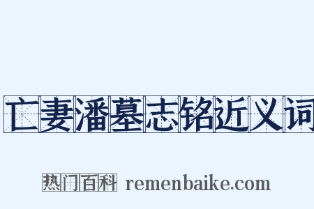 亡妻潘墓志铭近义词是什么意思的图片